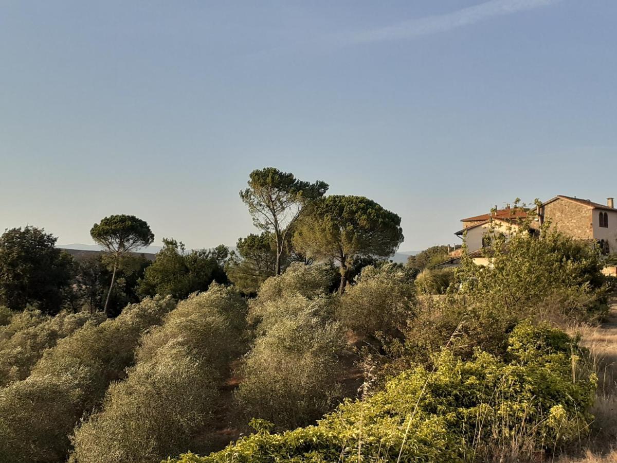 Borgo De' Muracci Ribolla Extérieur photo