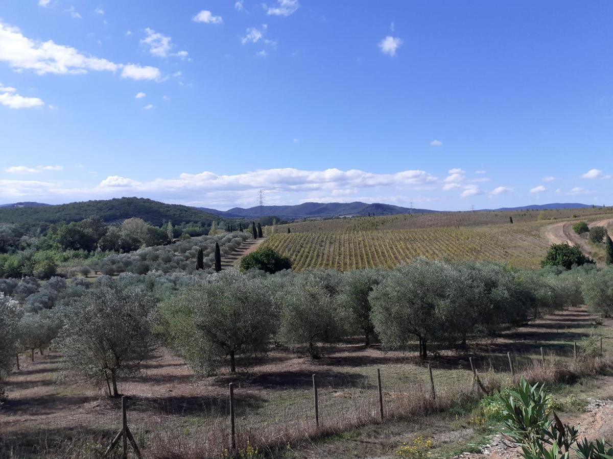 Borgo De' Muracci Ribolla Extérieur photo