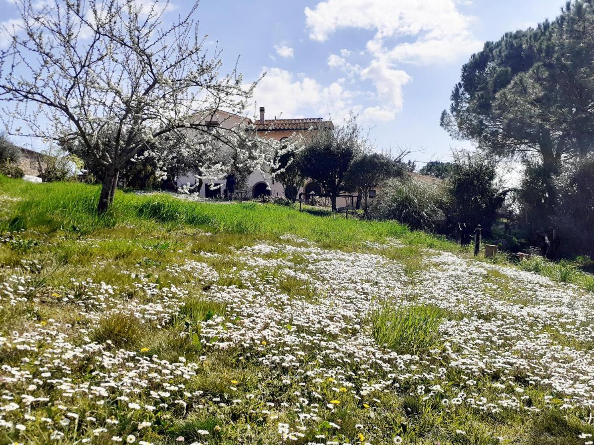 Borgo De' Muracci Ribolla Extérieur photo