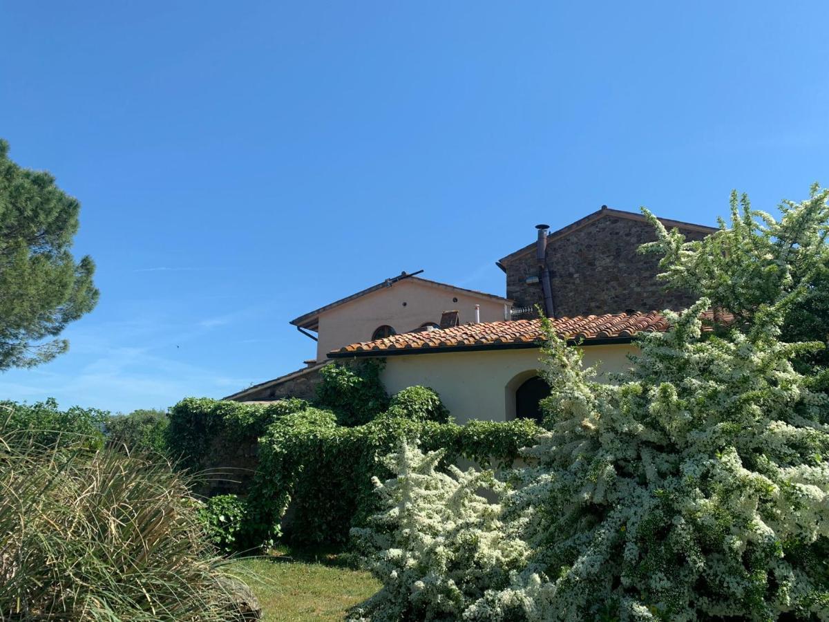 Borgo De' Muracci Ribolla Extérieur photo