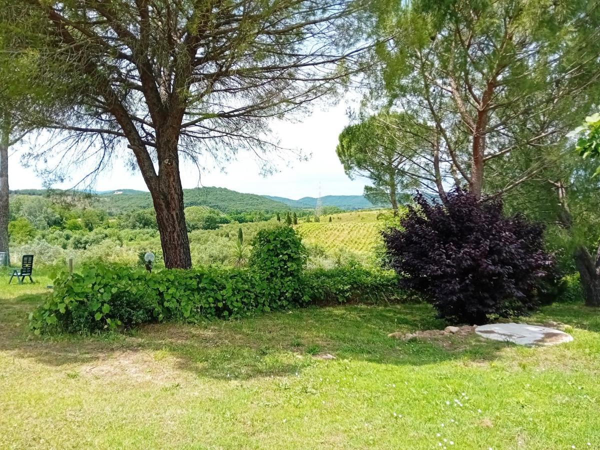 Borgo De' Muracci Ribolla Extérieur photo