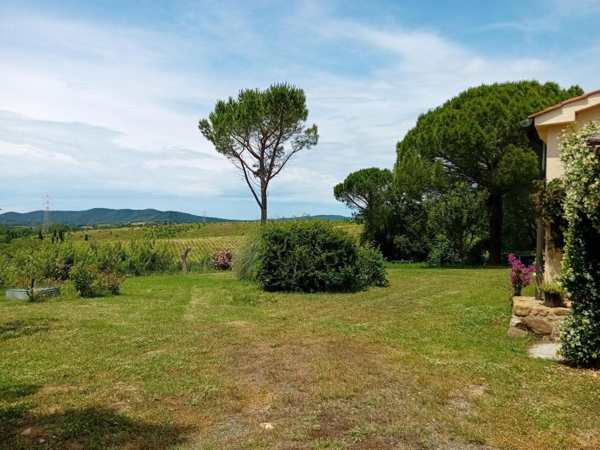 Borgo De' Muracci Ribolla Extérieur photo