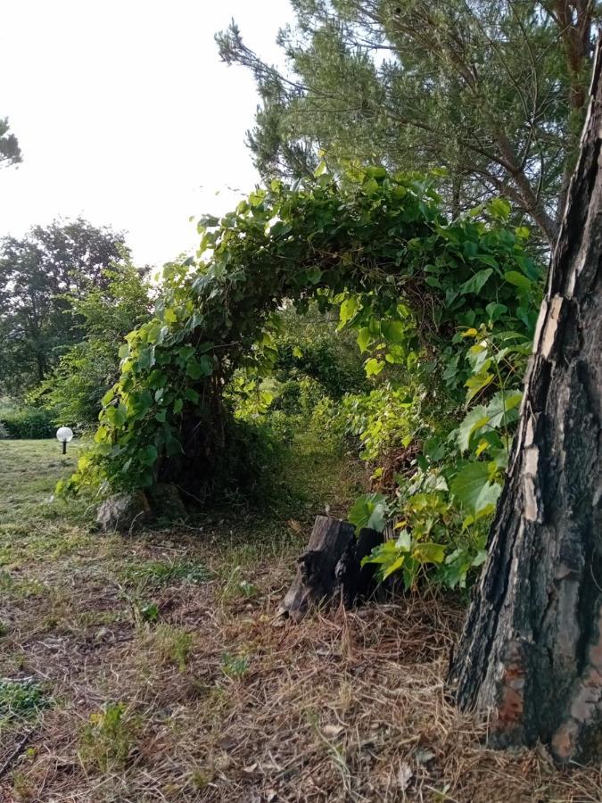Borgo De' Muracci Ribolla Extérieur photo