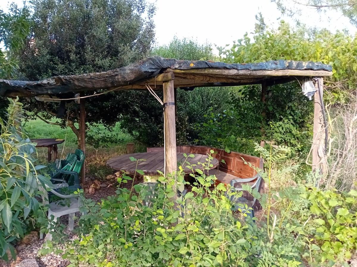 Borgo De' Muracci Ribolla Extérieur photo