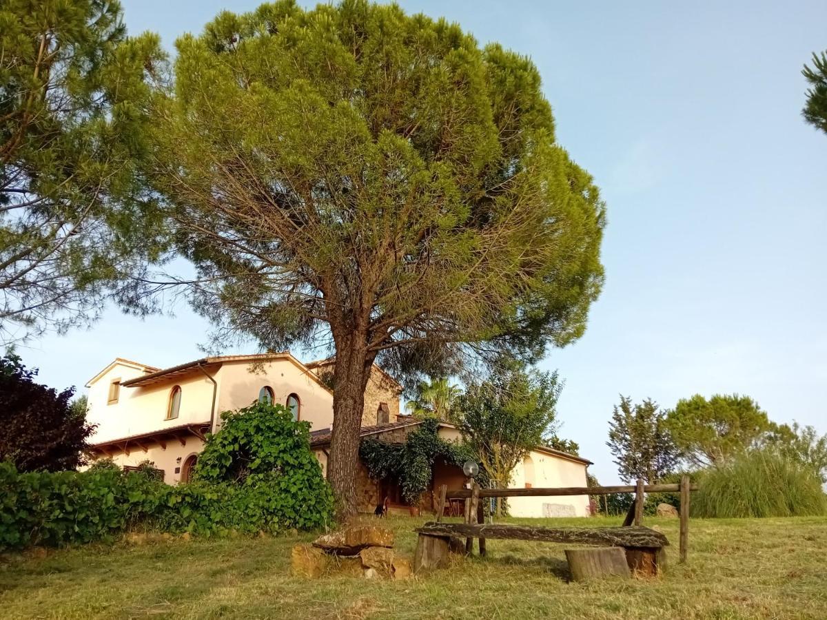 Borgo De' Muracci Ribolla Extérieur photo