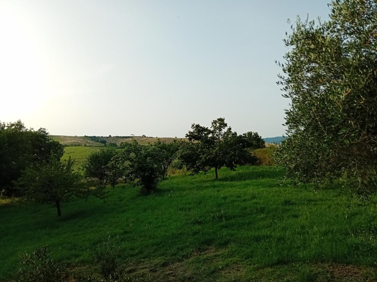 Borgo De' Muracci Ribolla Extérieur photo